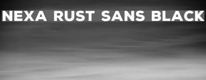 Nexa Rust Sans Black Example 2