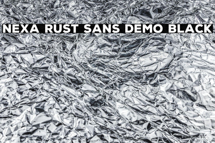 Nexa Rust Sans Demo Black Example 2