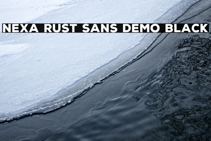 Nexa Rust Sans Demo Black Example 3