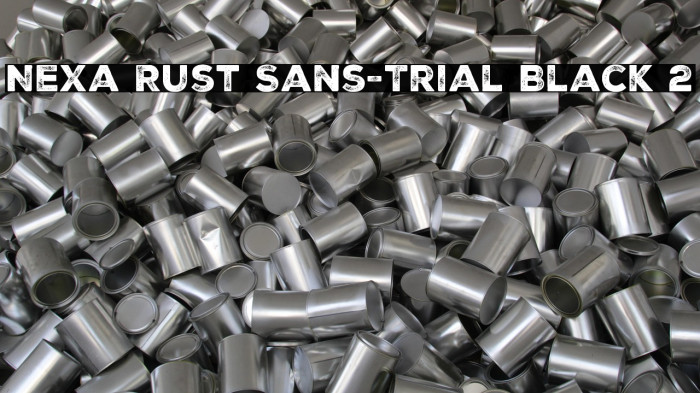 Nexa Rust Sans-Trial Black 2 Example 1