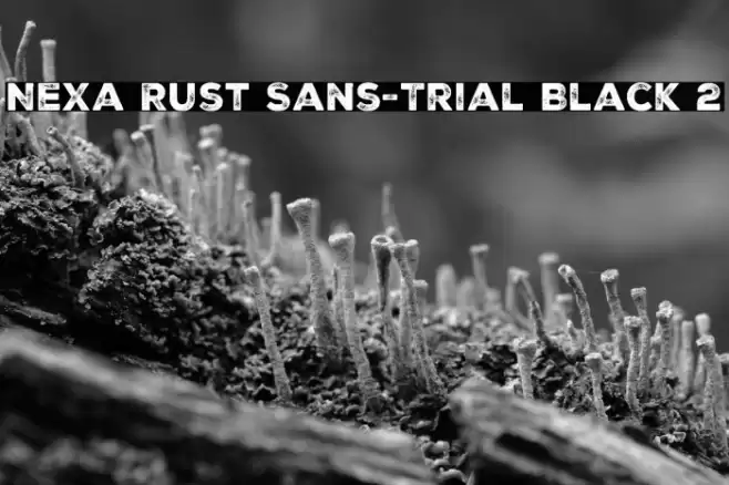 Nexa Rust Sans-Trial Black 2 Font examples