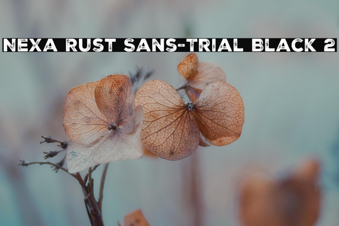Nexa Rust Sans-Trial Black 2 Example 3
