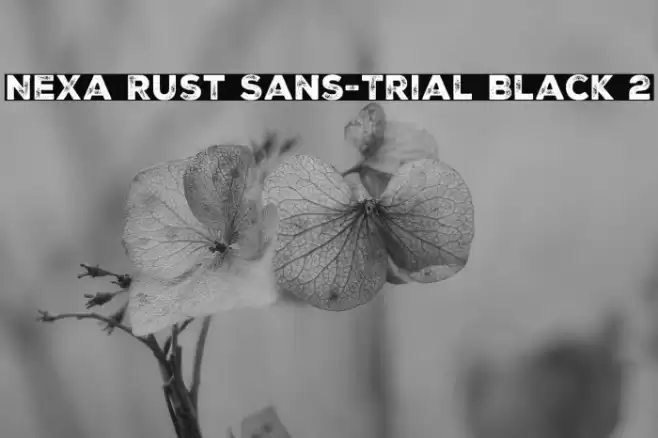 Nexa Rust Sans-Trial Black 2 Font examples