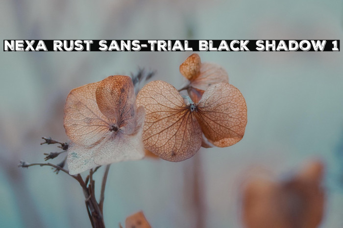 Nexa Rust Sans-Trial Black Shadow 1 Example 2
