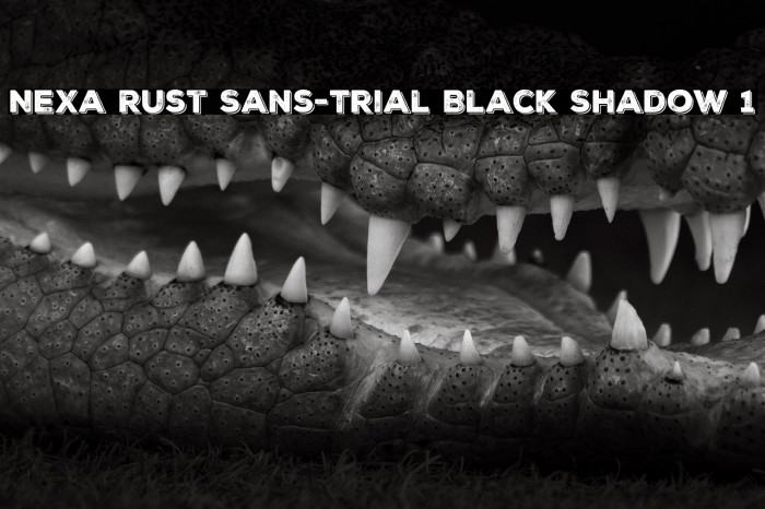 Nexa Rust Sans-Trial Black Shadow 1 Example 3