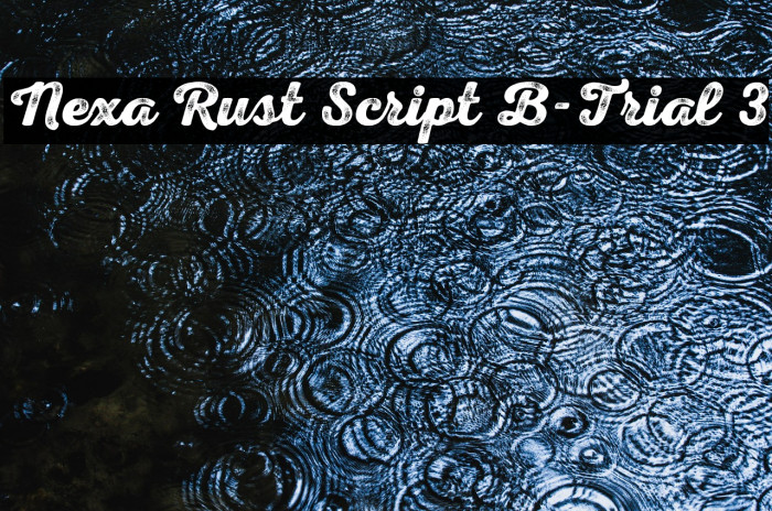 Nexa Rust Script B-Trial 3 Example 1