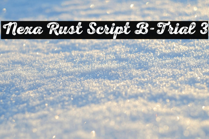 Nexa Rust Script B-Trial 3 Example 2
