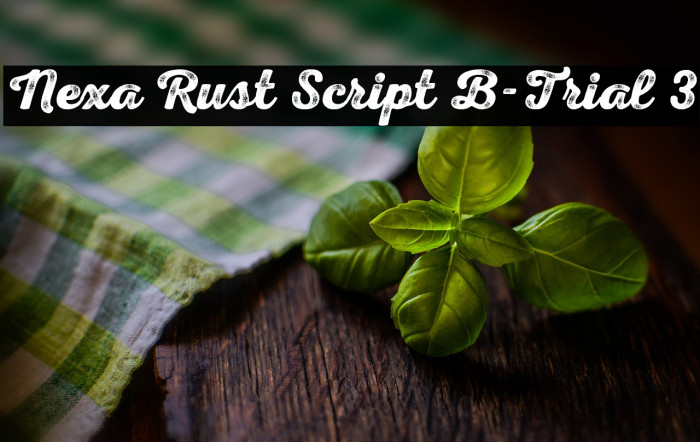 Nexa Rust Script B-Trial 3 Example 3