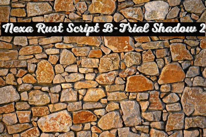 Nexa Rust Script B-Trial Shadow 2 Example 1