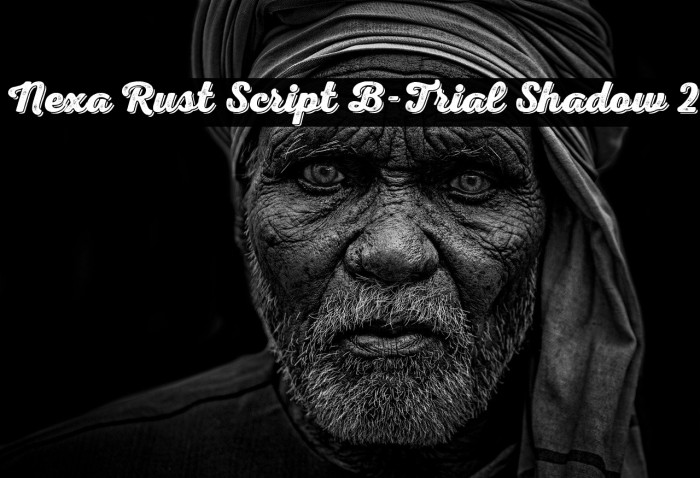 Nexa Rust Script B-Trial Shadow 2 Example 2