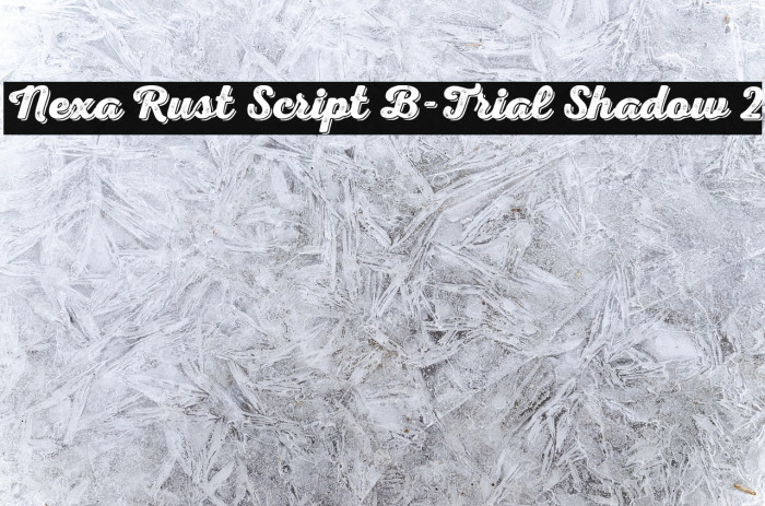 Nexa Rust Script B-Trial Shadow 2 Example 3