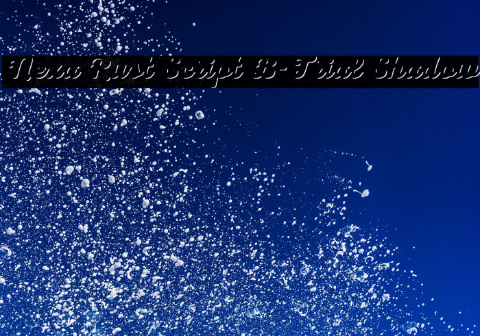 Nexa Rust Script B-Trial Shadow Example 2