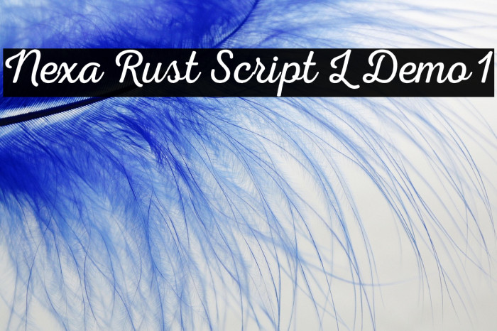 Nexa Rust Script L Demo 1 Example 2