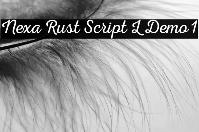 Nexa Rust Script L Demo 1 Example 2