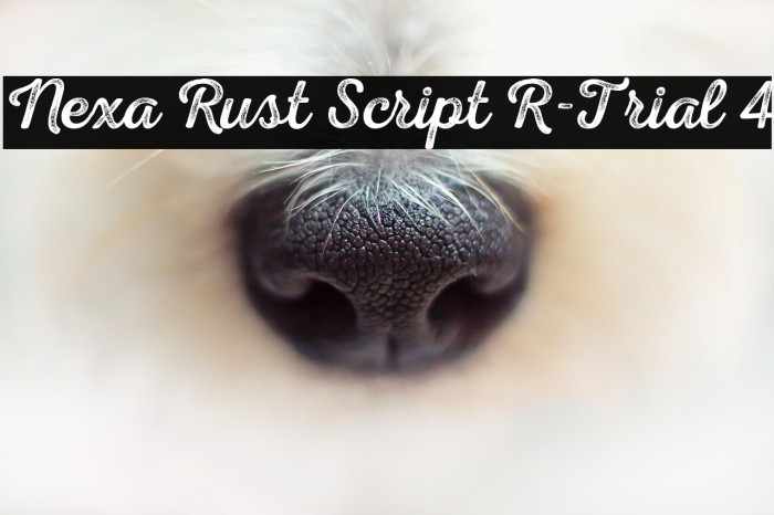 Nexa Rust Script R-Trial 4 Example 2