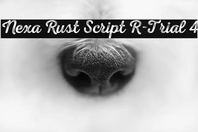 Nexa Rust Script R-Trial 4 Example 2