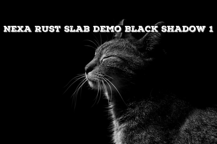 Nexa Rust Slab Demo Black Shadow 1 Example 1