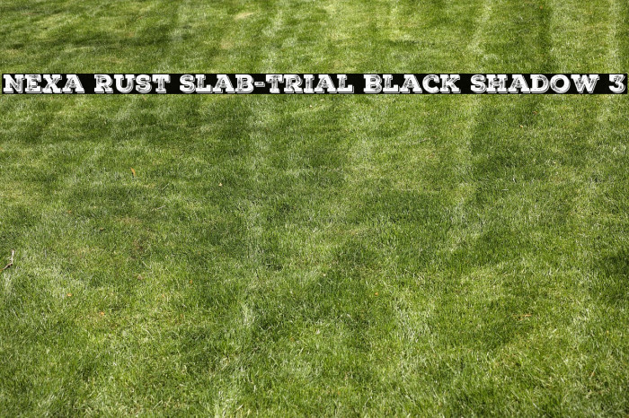 Nexa Rust Slab-Trial Black Shadow 3 Example 2