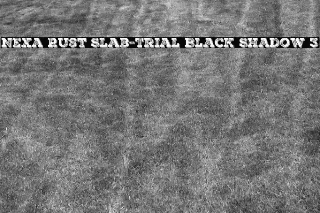 Nexa Rust Slab-Trial Black Shadow 3 Font examples