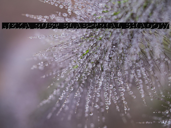 Nexa Rust Slab-Trial Shadow Example 1