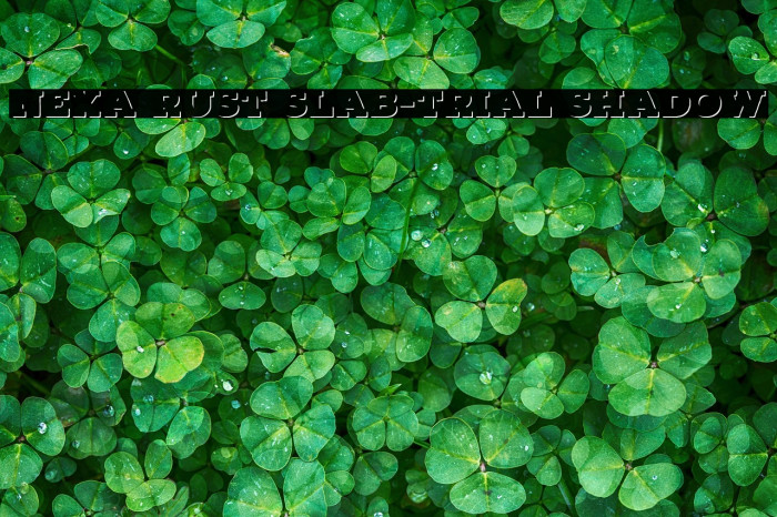 Nexa Rust Slab-Trial Shadow Example 2