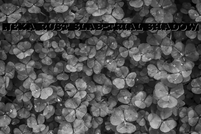 Nexa Rust Slab-Trial Shadow Font examples