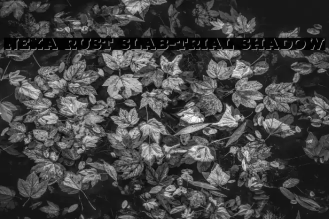 Nexa Rust Slab-Trial Shadow Font examples