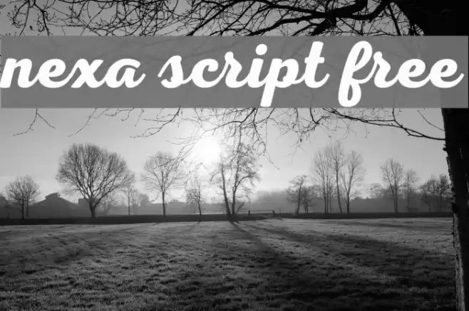 Nexa Script Free Font examples