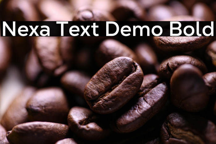 Nexa Text Demo Bold Example 1