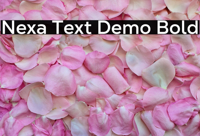 Nexa Text Demo Bold Example 2