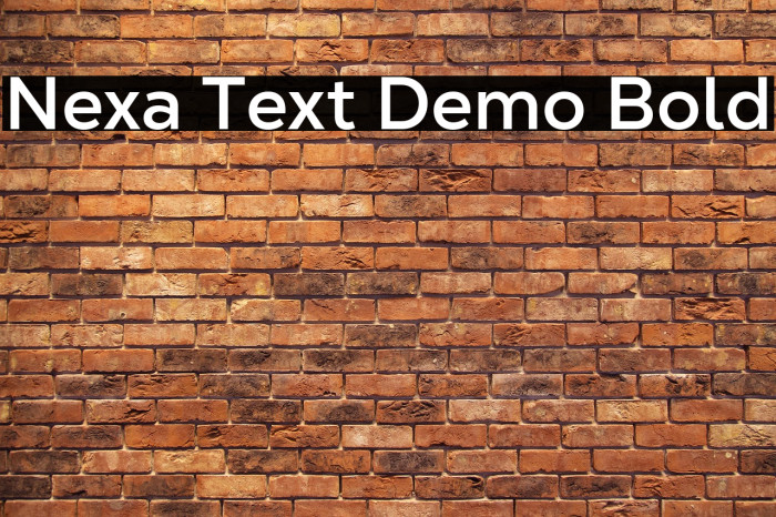 Nexa Text Demo Bold Example 3