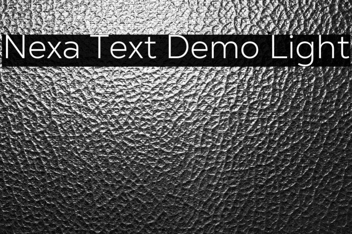Nexa Text Demo Light Example 2