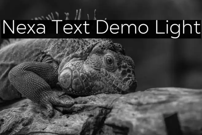 Nexa Text Demo Light Example 3