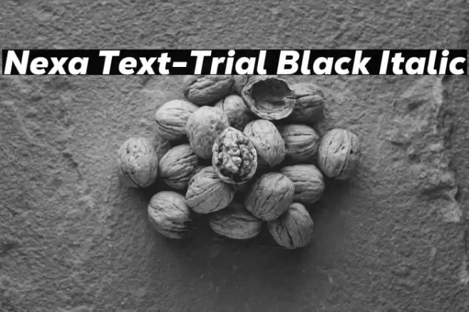 Nexa Text-Trial Black Italic Font examples