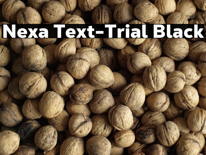 Nexa Text-Trial Black Example 2