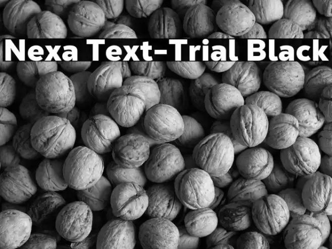 Nexa Text-Trial Black Font examples