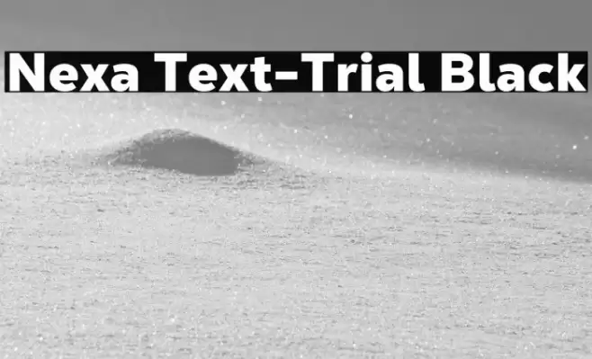 Nexa Text-Trial Black Font examples