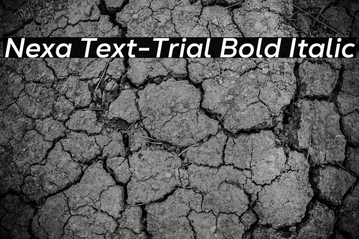 Nexa Text-Trial Bold Italic Example 3