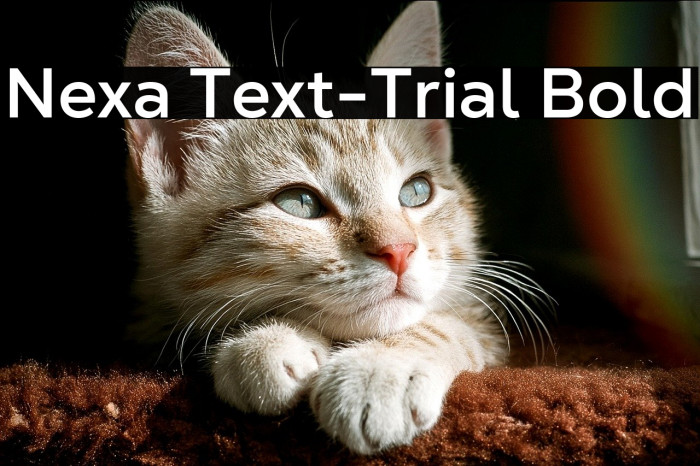 Nexa Text-Trial Bold Example 1