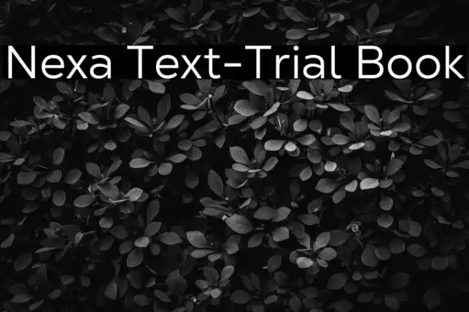 Nexa Text-Trial Book Example 1