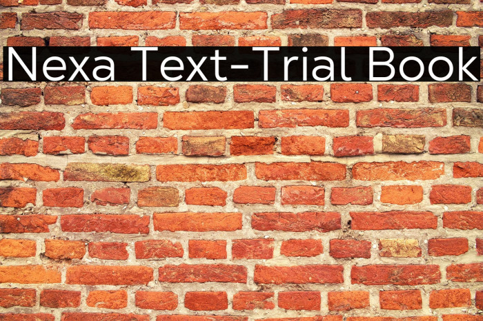 Nexa Text-Trial Book Example 3