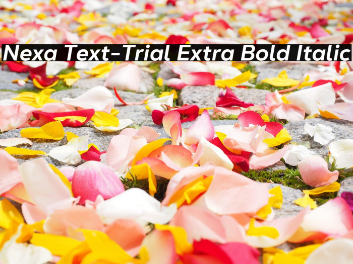 Nexa Text-Trial Extra Bold Italic Example 1