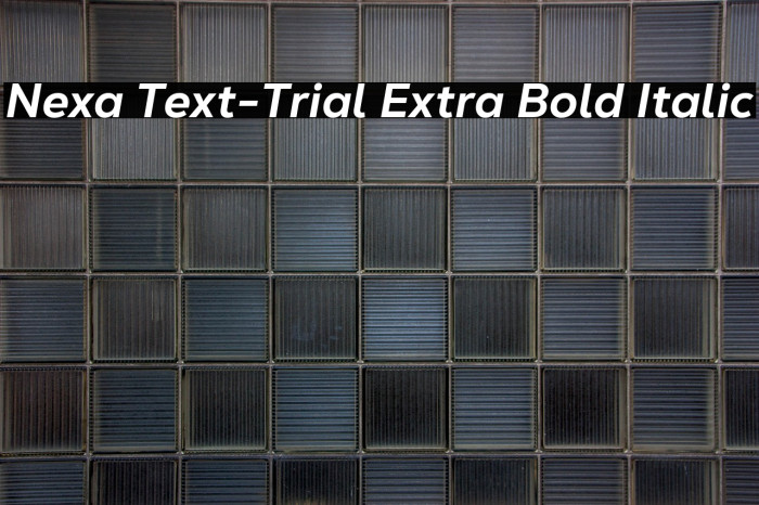 Nexa Text-Trial Extra Bold Italic Example 3