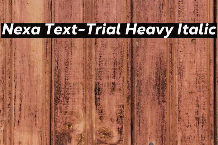 Nexa Text-Trial Heavy Italic Example 2