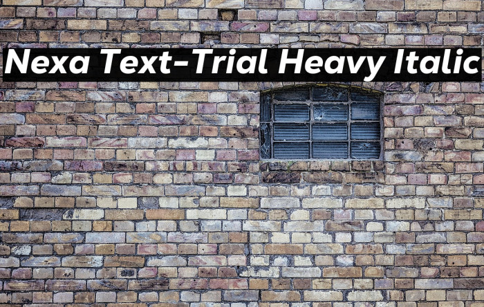 Nexa Text-Trial Heavy Italic Example 3