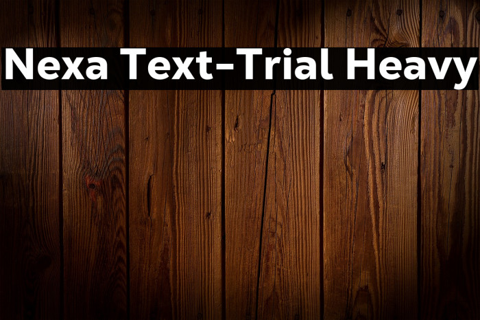 Nexa Text-Trial Heavy Example 1