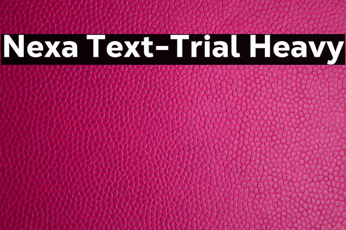 Nexa Text-Trial Heavy Example 2