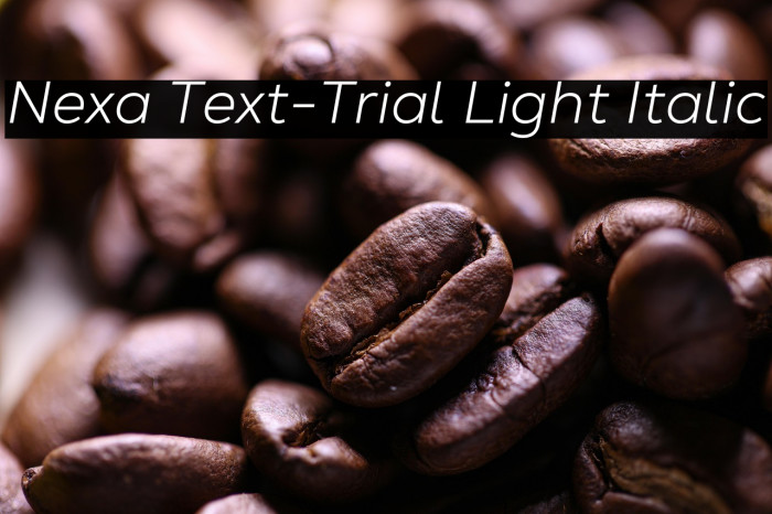 Nexa Text-Trial Light Italic Example 1