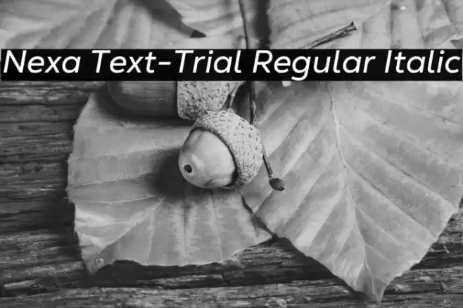 Nexa Text-Trial Regular Italic Font examples