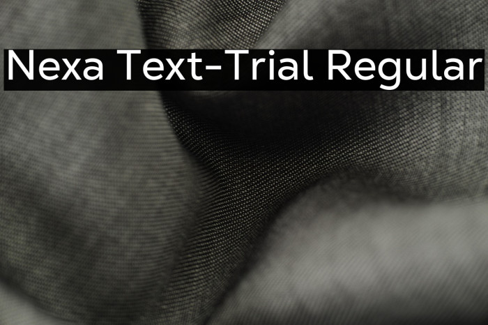 Nexa Text-Trial Regular Example 3